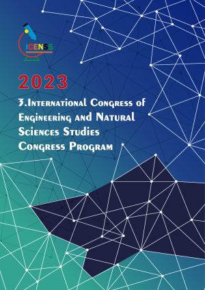 icenss-2023-program-kapak