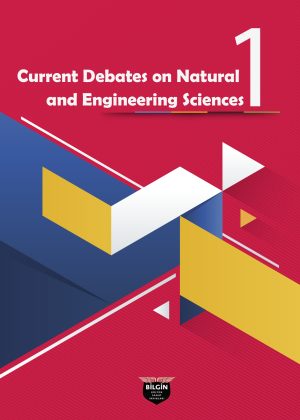 icenss-Kitap Bölümü Kapak Ön-01-01