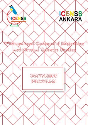 icenss-program-kapak-01